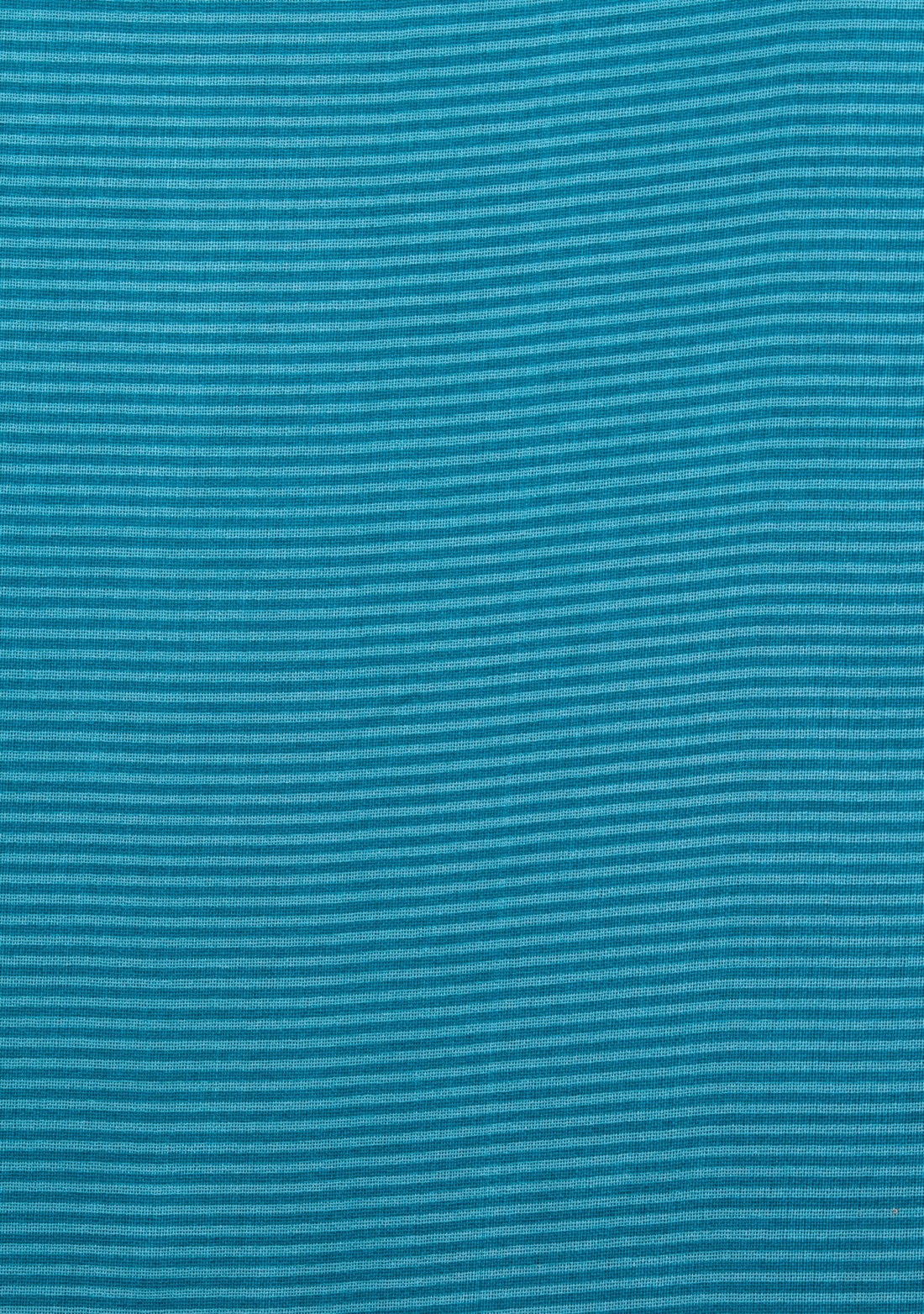 Blue Printed Saree