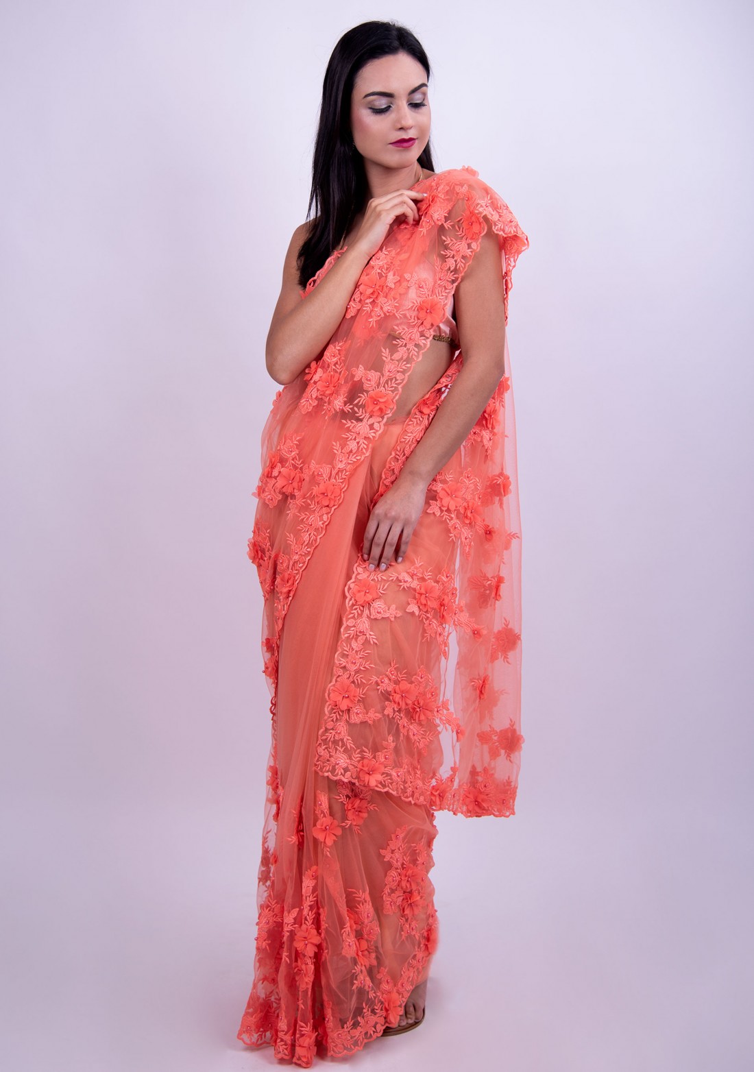 Applique Work Coral Embroidered Net Saree