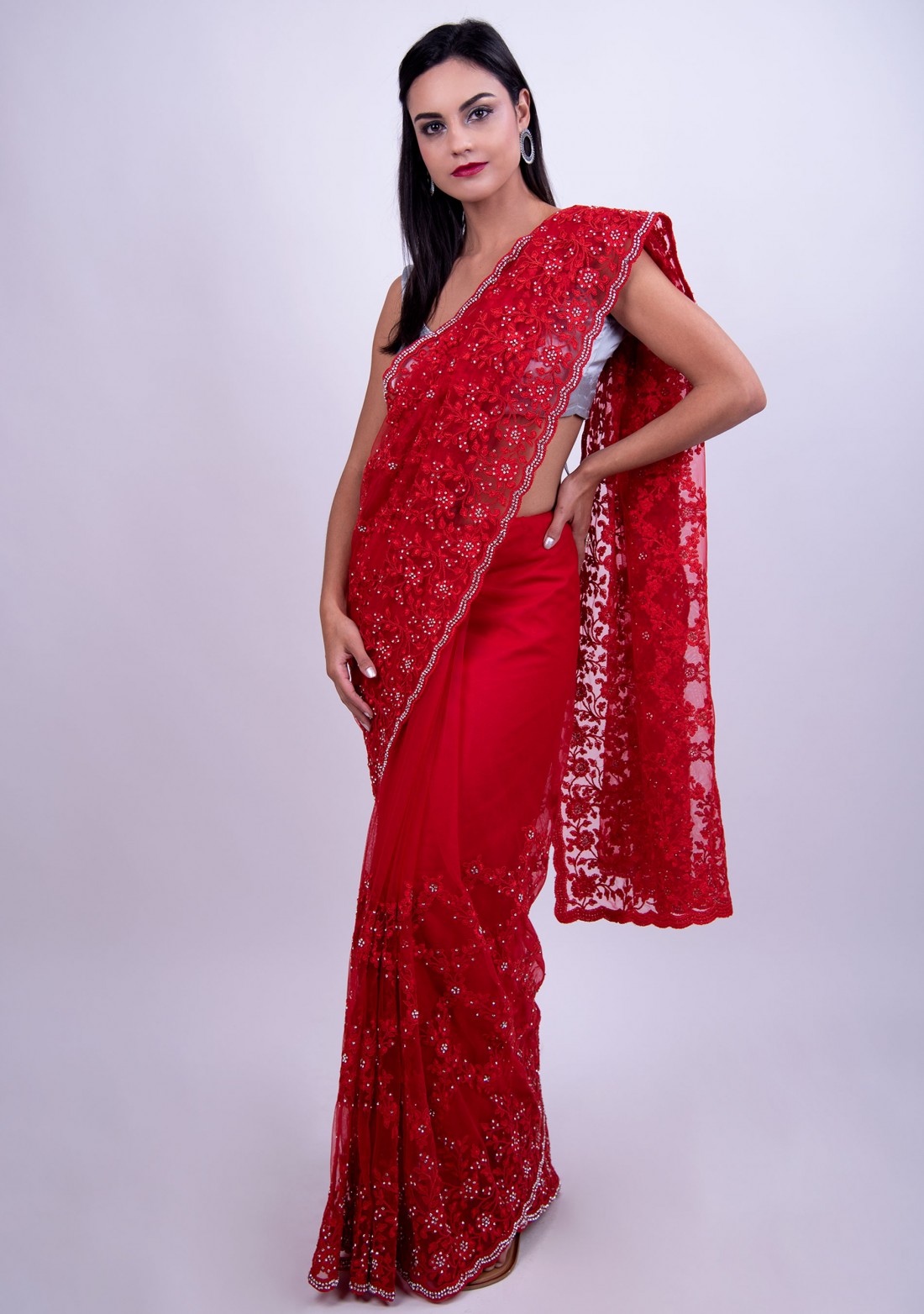 Scarlet Red Embroidered Net Saree